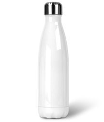Stainless Steel Bottle